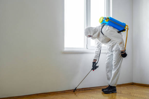 Emergency Pest Control Services in Walker, LA